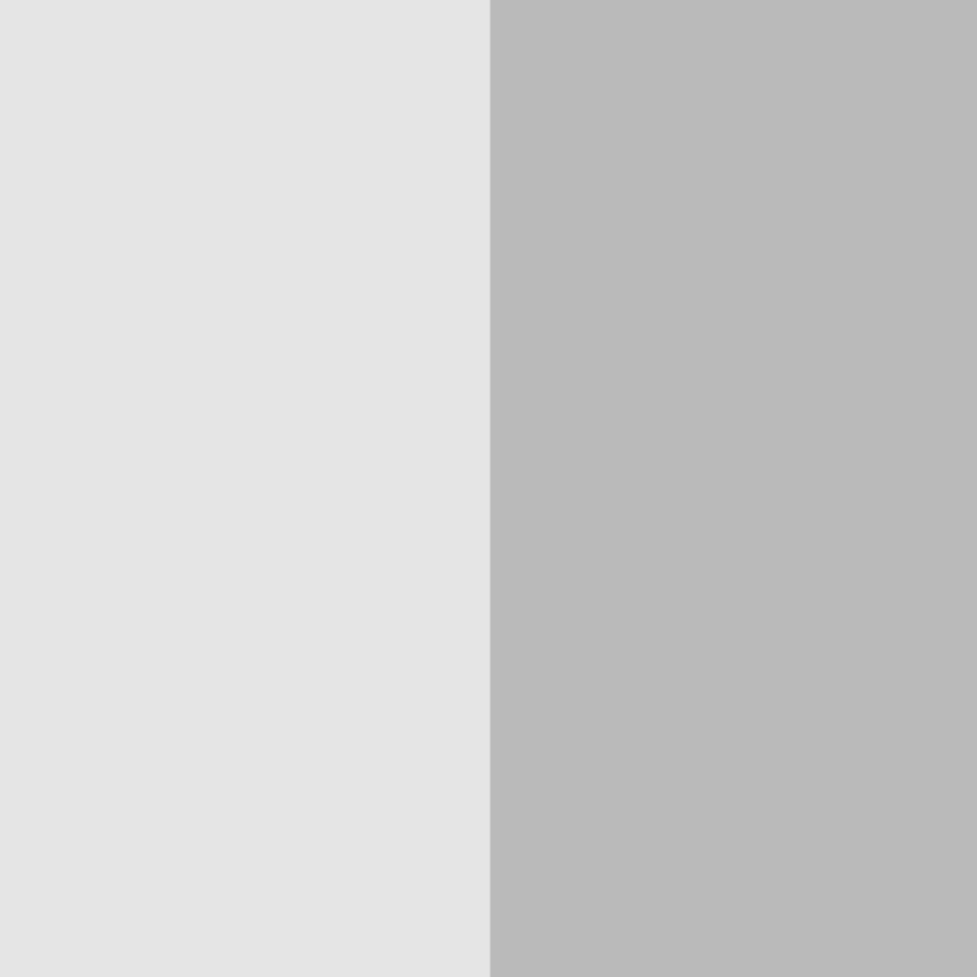 Weiß/Silber